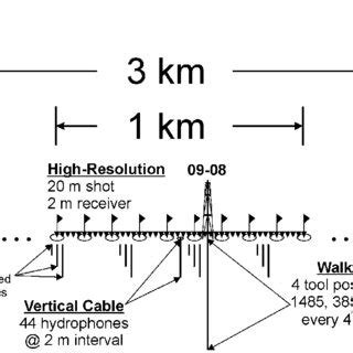 Schematic Diagram Not To Scale Illustrating The Layout Of The