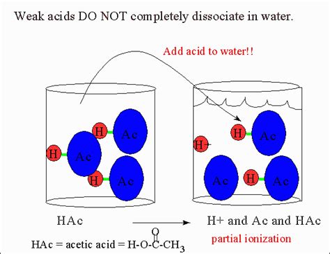 Dissociation Of Acetic Acid In Water Equation - Tessshebaylo