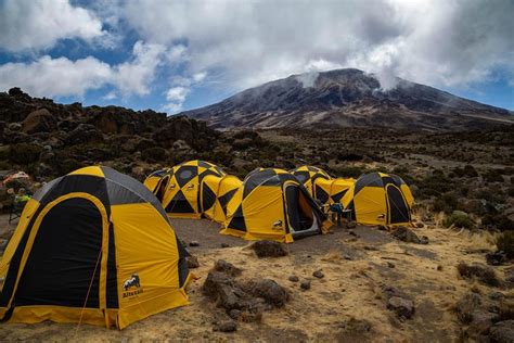 Tripadvisor Kilimanjaro Aufstieg Auf Der Lemosho Route 7 Tage Zur