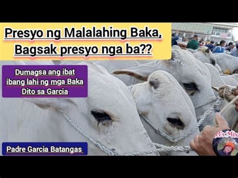 Presyo Ng Malalahing Baka Bagsak Presyo Nga Ba Padregarciabatangas