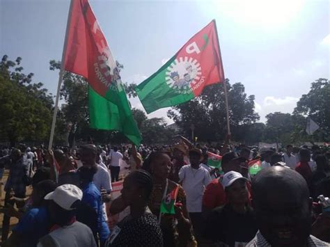 Photos Thousands Of Peter Obi Supporters Hold Rally In Abuja News Band