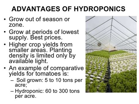 Hydroponics Issues And Analysis Abhipedia Powered By Abhimanu Ias