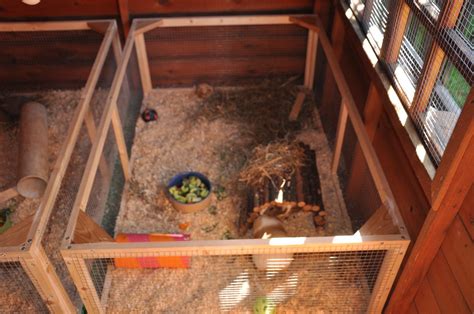 Guinea Pig Or Rabbit Shed Instructables