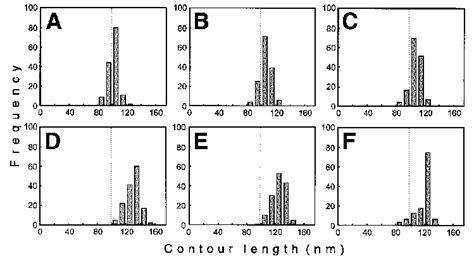 Ditercalinium Binding To 292 Bp DNA Fragments The Histograms Show The