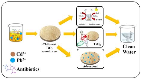 Membranes Free Full Text Preparation And Characterization Of Chitosan Tio2 Composite