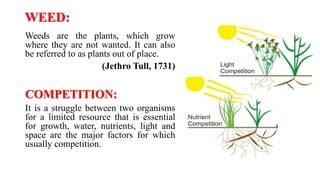 CROP WEED COMPETITION Pptx