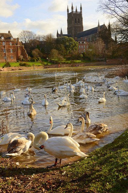 Explore the Beauty of River Severn: A Natural Wonder