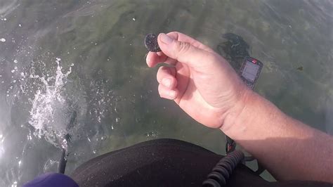 New Hampshire Beach Metal Detecting Signets And Silvers In The Surf