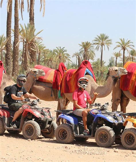 Camel Ride And Quad Biking Adventure In Marrkech Palmeraie