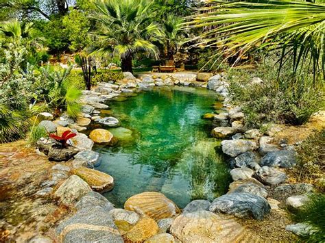 BUBBLING WELLS HISTORIC HOT SPRING RANCH UPDATED Specialty B B Reviews Desert Hot