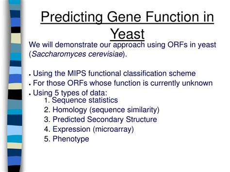 Ppt The Challenge Of Predicting Gene Function Powerpoint Presentation