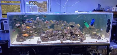 For Sale - 600 gallon fish tank | MonsterFishKeepers.com