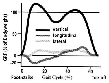 Ground Reaction Force GRF Measured Below A Foot While Walking