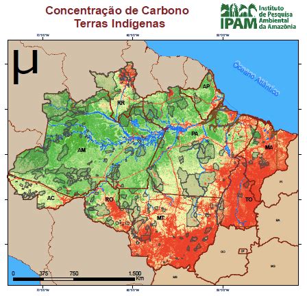 Concentra O De Carbono Em Terras Ind Genas Na Amaz Nia Ipam Amaz Nia