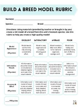 Results For Building Project Rubric TPT