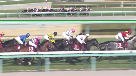 フジテレビ競馬 On Twitter 【みんなのkeiba次回2月19日日 午後3時】 京都記念・gⅡは1人気の⑫ドウデュースが勝利