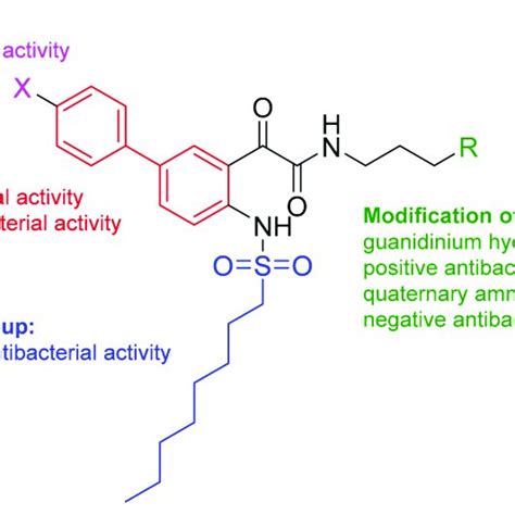 Summary Of Structure Activity Relationships Sars For Antibacterial Download Scientific