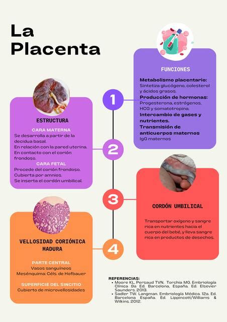 Placenta Y Membranas Fetales Marisol Zendejas UDocz