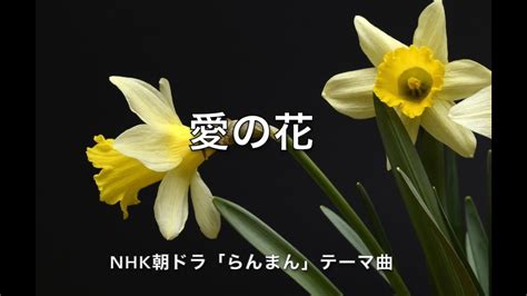 愛の花・フルバージョン（あいみょん。nhk朝ドラ「らんまん」主題歌）歌詞・コード付き Kathy Youtube