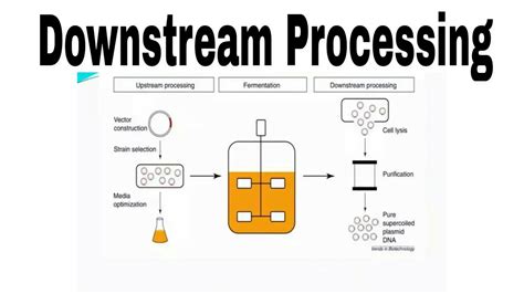 Downstream Processing Youtube