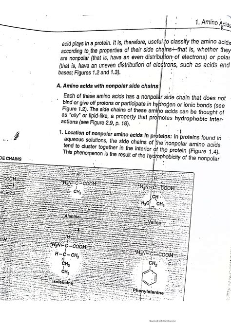 Solution Amino Acids Studypool