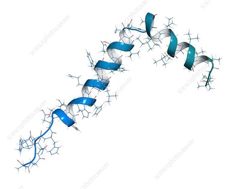 Amyloid Beta Molecule Illustration Stock Image F019 2172 Science