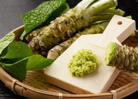 ទទួលទានវ៉ាសាប៊ី(Wasabi)ច្រើន តើនឹងមានអ្វីកើតឡើងចំពោះរាងកាយ? - Khmer ...