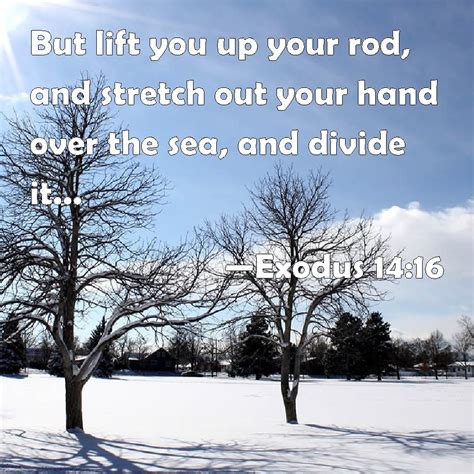 Exodus 14 16 But Lift You Up Your Rod And Stretch Out Your Hand Over