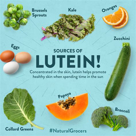 What Are Lutein Rich Foods at Mike Thorne blog