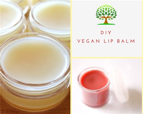 Diy Vegan Lip Balm No Beeswax Vegan Lip Balm Vegan Lip Natural