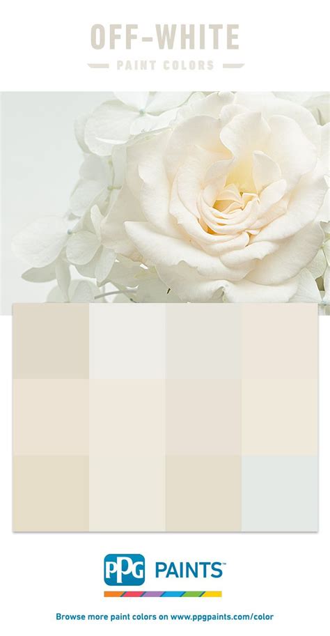 √ Off White Color Swatch