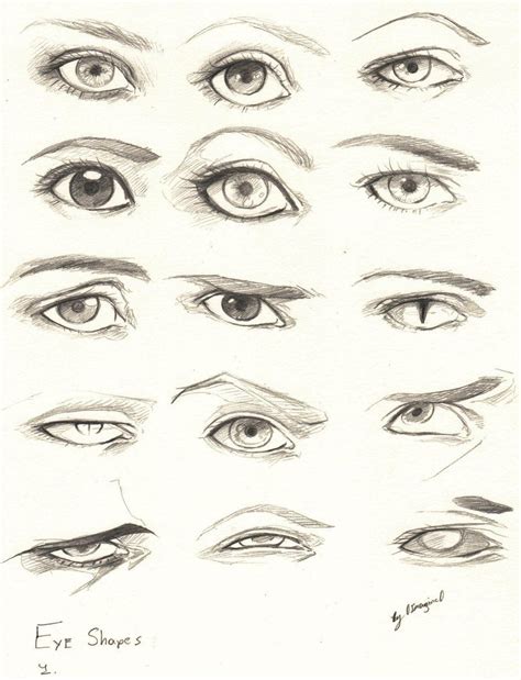 Different Types Of Eyes Drawing