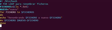 Aprendiendo A Programar Shell Scripts En Linux