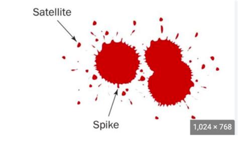 Blood Spatter Flashcards Quizlet