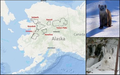 National Wildlife Refuges In The Heart Of Alaska FWS Gov