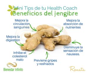 Beneficios Del Jengibre Bienestar Infinito