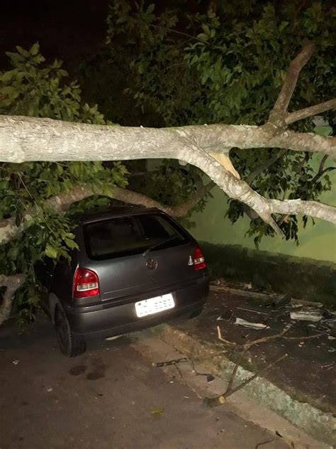 Árvore cai sobre carro e bloqueia rua no Putim em São José Vale do