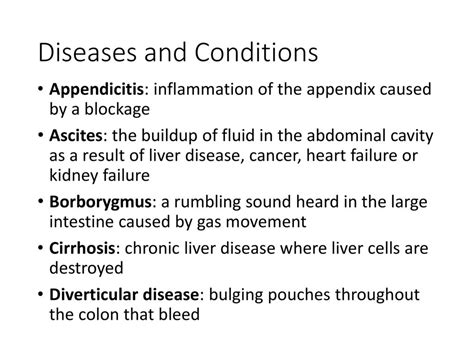 Digestive System. - ppt download