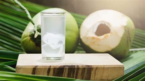 Tender Coconut Water Cocobae