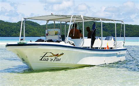 Fish N Fins Scuba Diving Center In Palau Dive Advice Travel