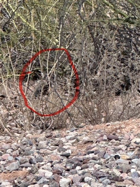 Kissack Adventures Not Too Hot Not Too Cold