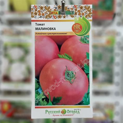 Малиновка томат