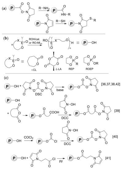 Polymers Free Full Text Functionalized Biodegradable Polymers Via Termination Of Ring