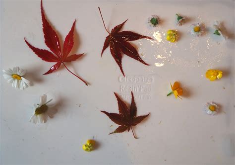 Techniques to Embed Flowers in Resin : 12 Steps (with Pictures ...