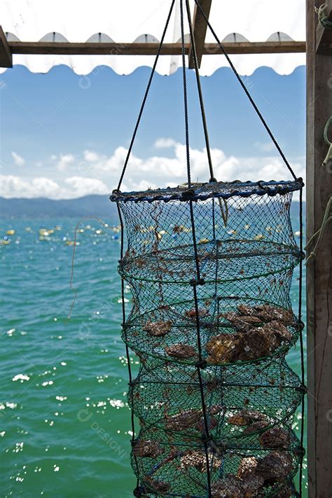 Imagem de uma pescaria vários peixes no mar de aguas azuis