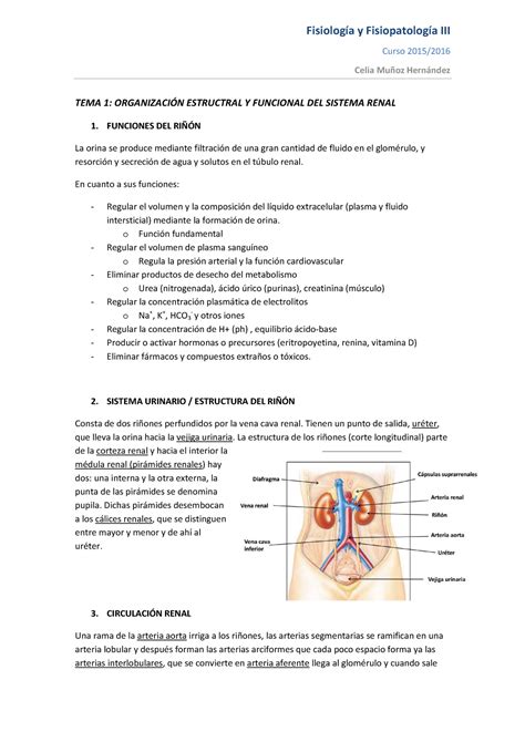 Fisiolog A Y Fisiopatolog A Ii Apuntes Completos Temas Y