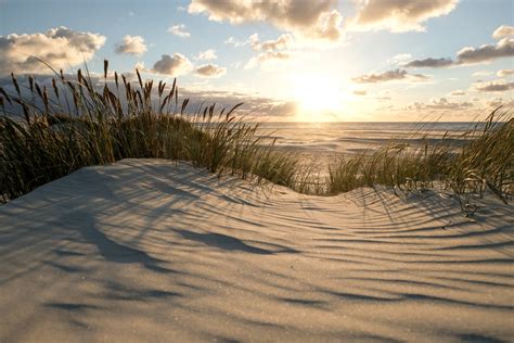 God sommer og læselyst – Gymnasieskolen