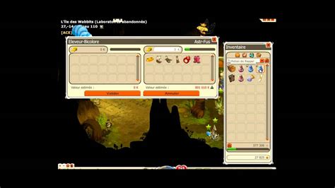 Dofus SH PvP Foreuse Propriété de la ACE YouTube