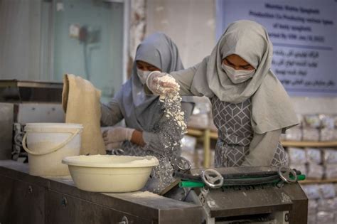 Avand Azeez Agha On Linkedin Afghan Women Can Run Businesses And Do