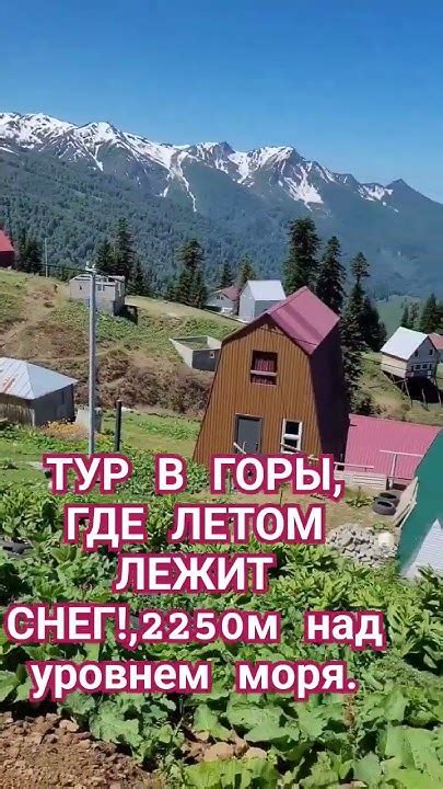 Путешествие в горы Аджарии и Гурии. - YouTube